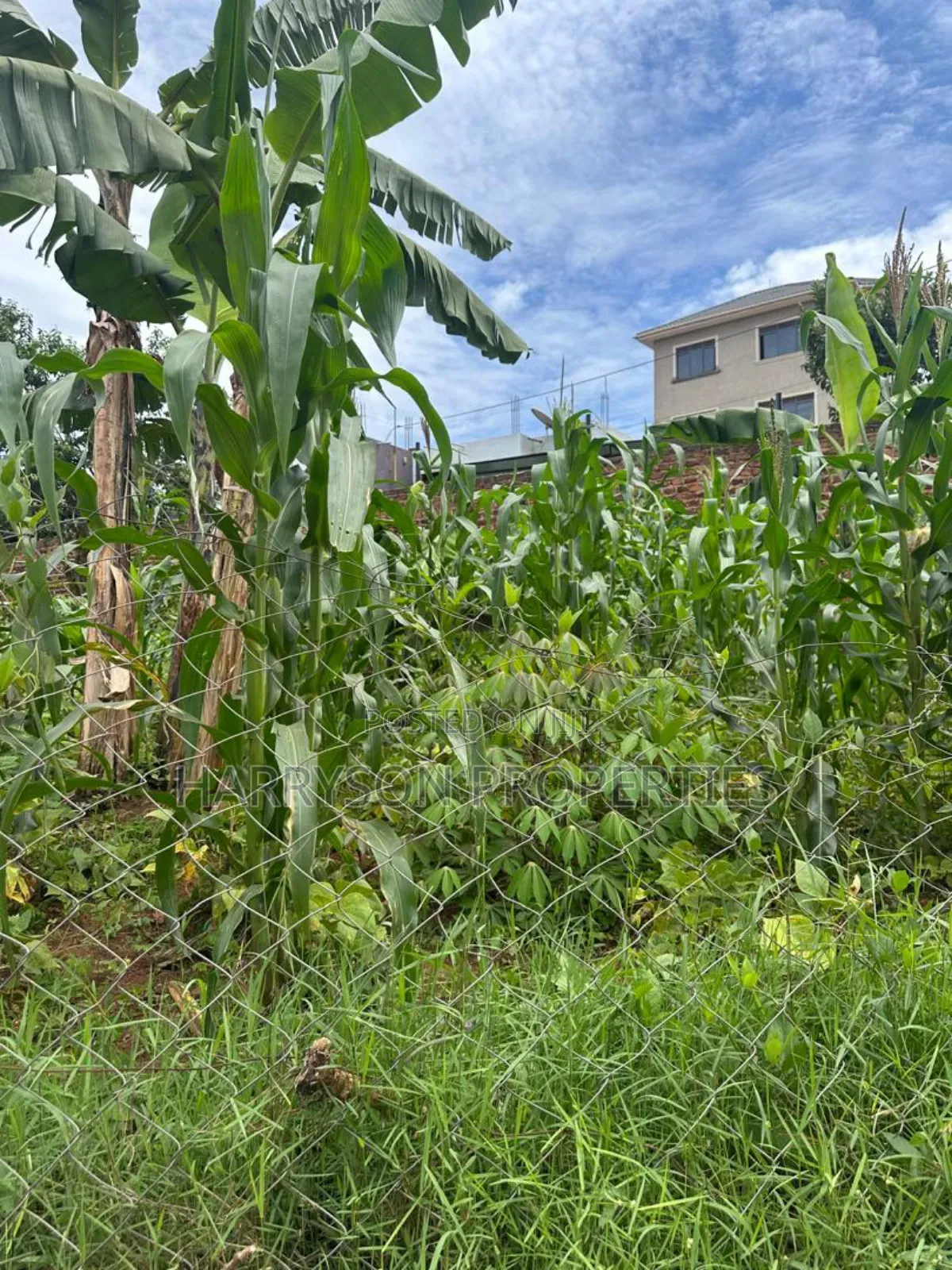 Land for Sell