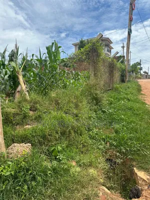 Land for Sell