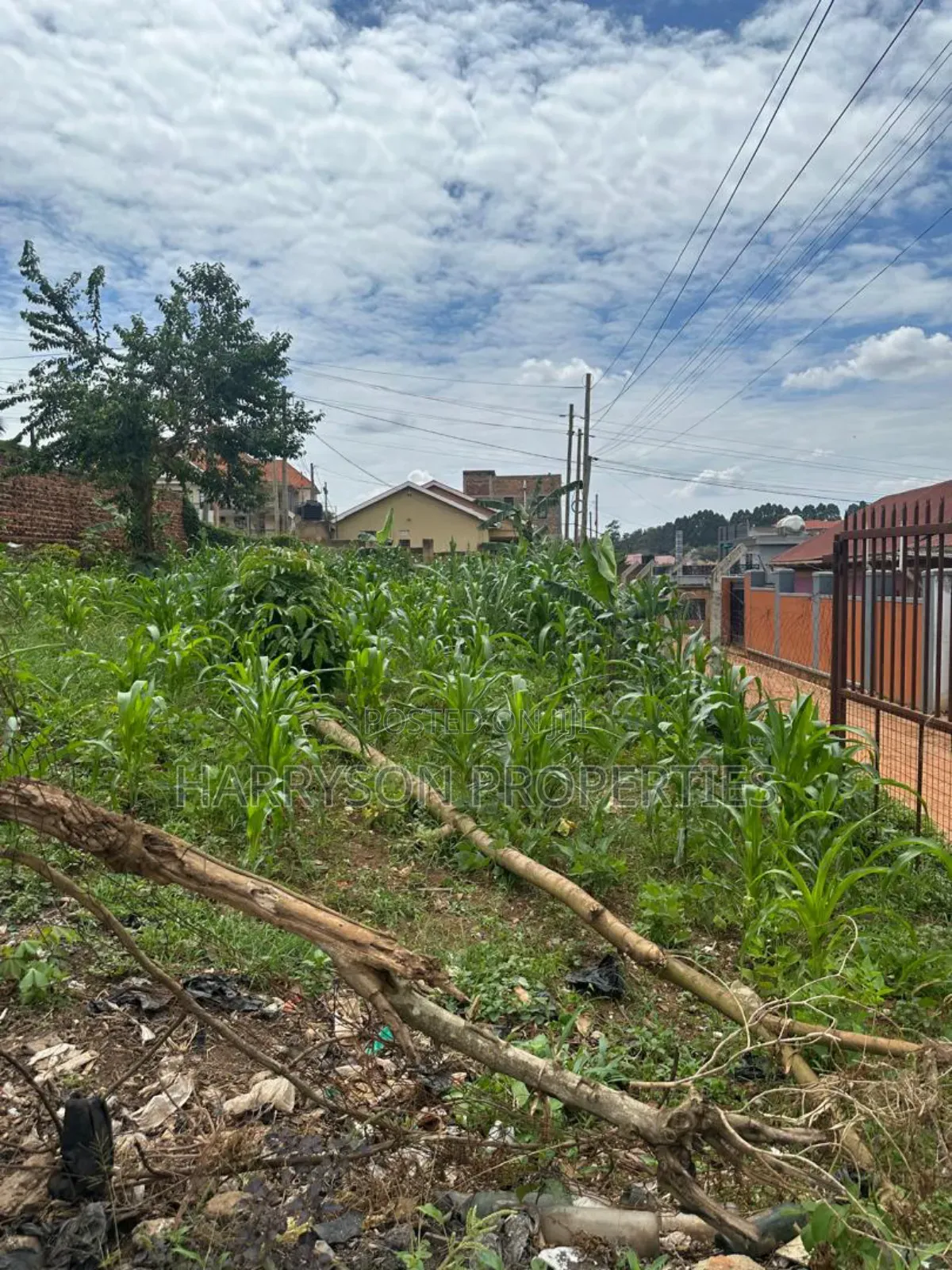 Land for Sell
