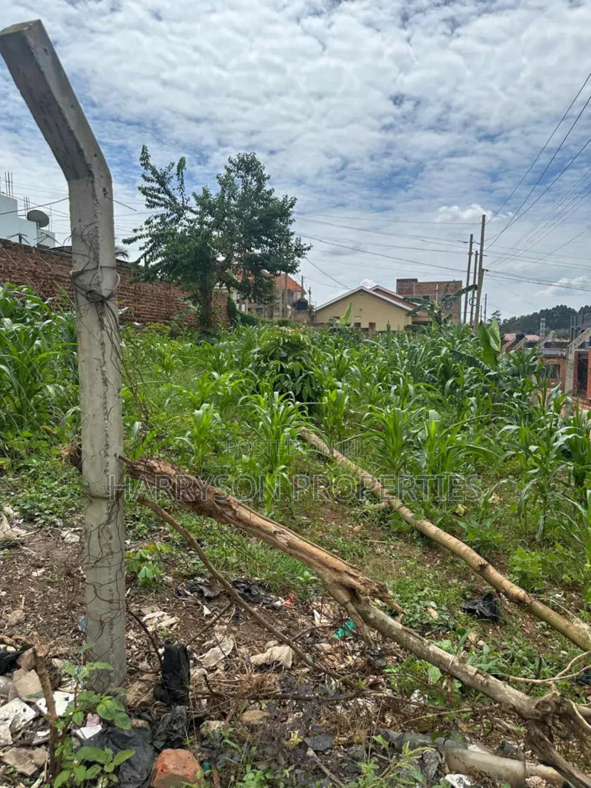 Land for Sell