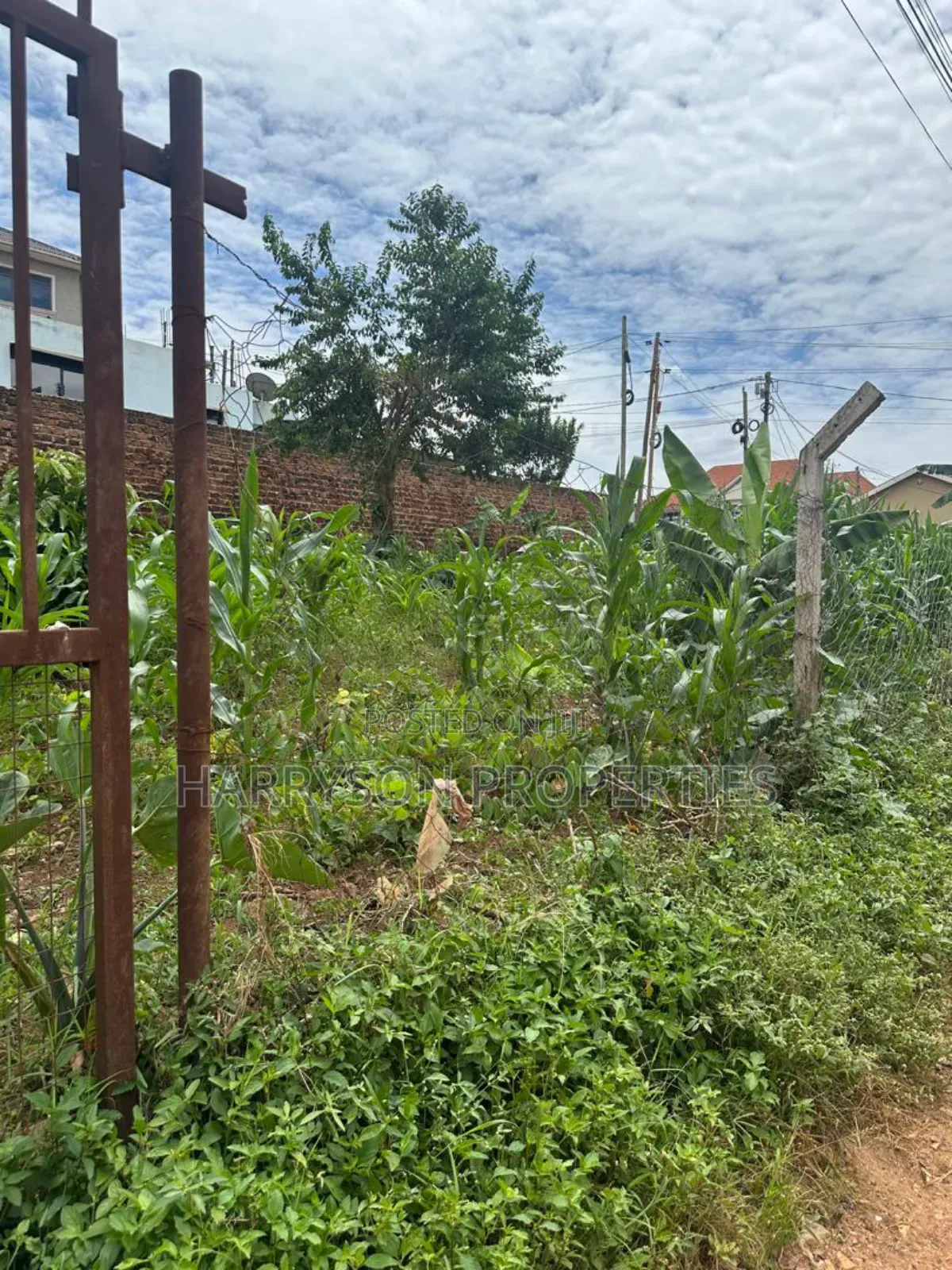 Land for Sell