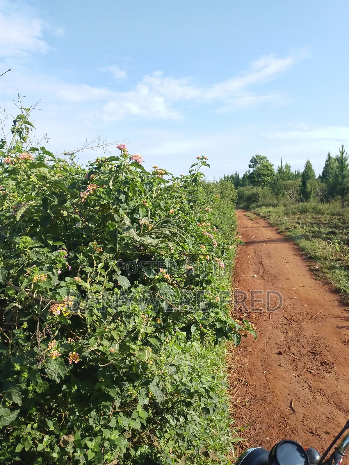 10 Acres of Land for Sale at 30m Per Acre in Nkokonjeru