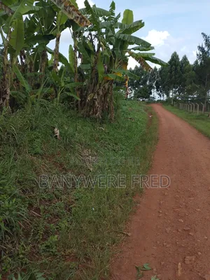 5 Acres on Sale in Namilyago Mukono