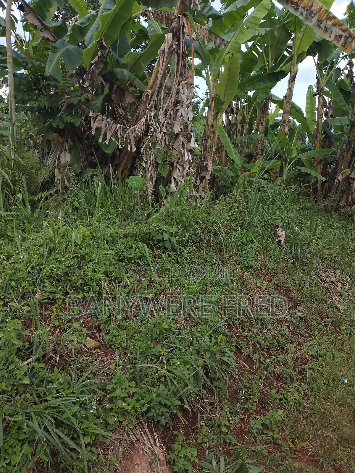 5 Acres on Sale in Namilyago Mukono