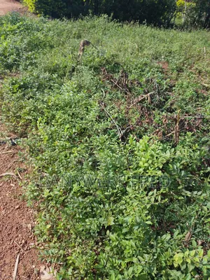 4 Acres for Sale in Namave Industrial Park