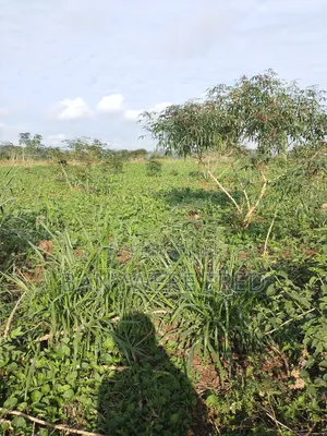 4 Acres for Sale in Namave Industrial Park