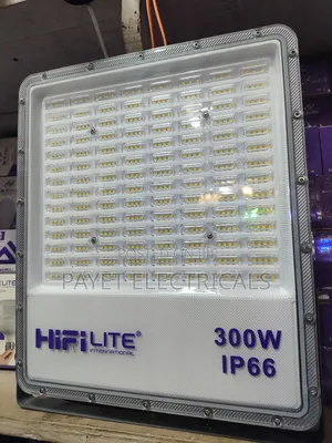 Elite 300watts Floodlight/ Security Light