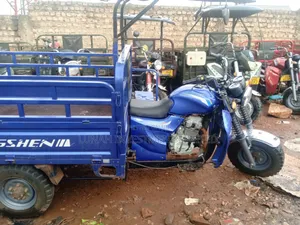 Tricycle 2024