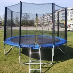 10ft Commercial Trampoline With a Safety Enclosure Net and a Ladder