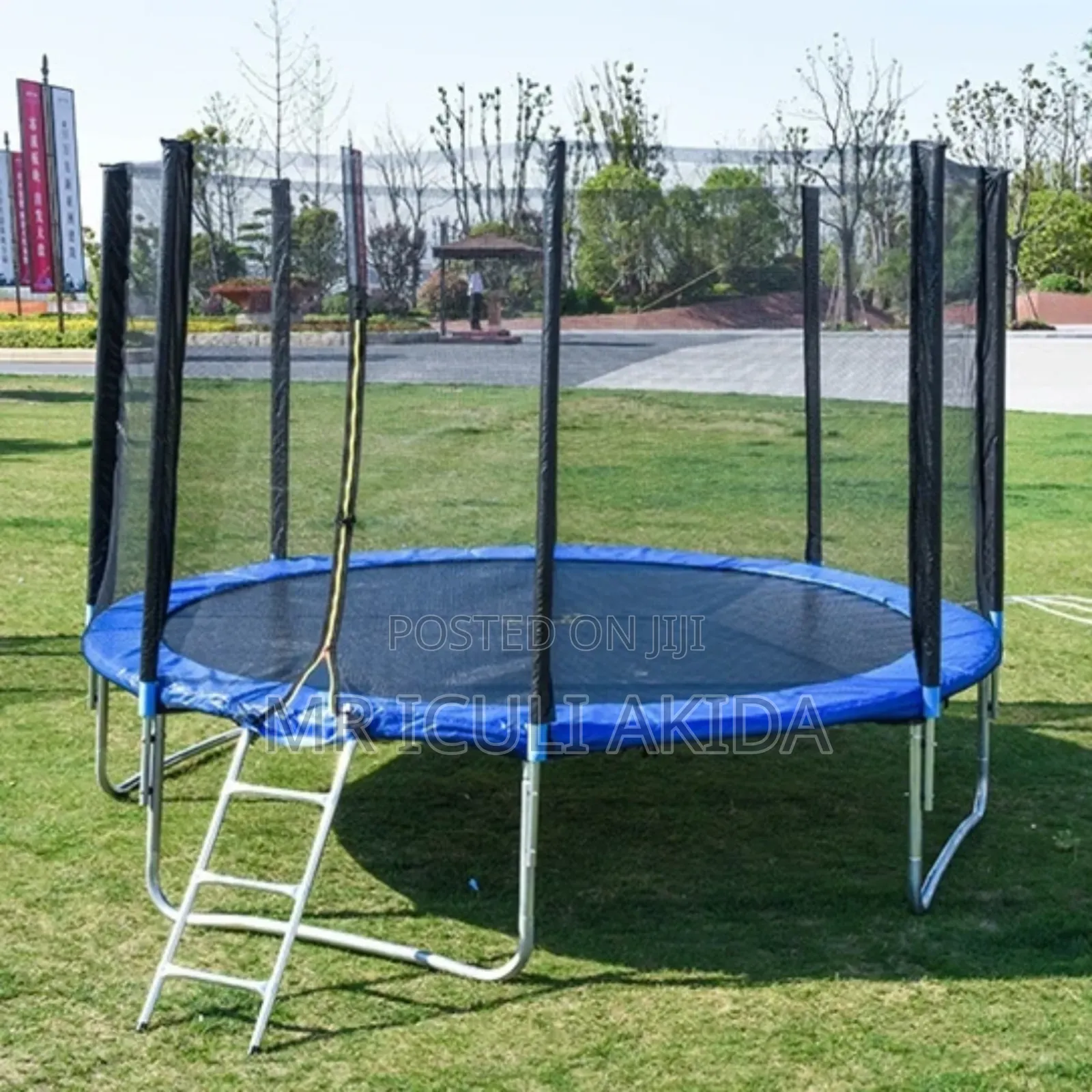 10ft Commercial Trampoline With a Safety Enclosure Net and a Ladder