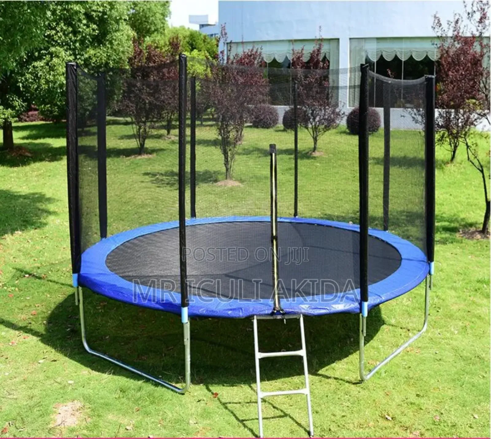 10ft Commercial Trampoline With a Safety Enclosure Net and a Ladder