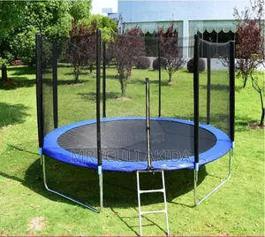 10ft Commercial Trampoline With a Safety Enclosure Net and a Ladder