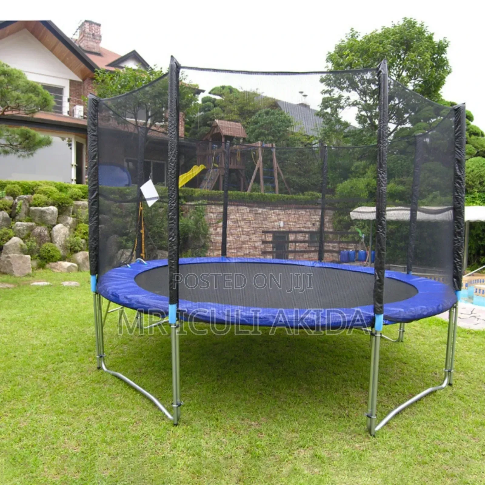 10ft Commercial Trampoline With a Safety Enclosure Net and a Ladder