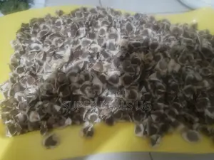 Moringa Seeds