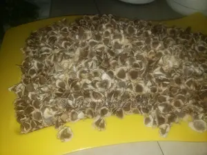 Moringa Seeds