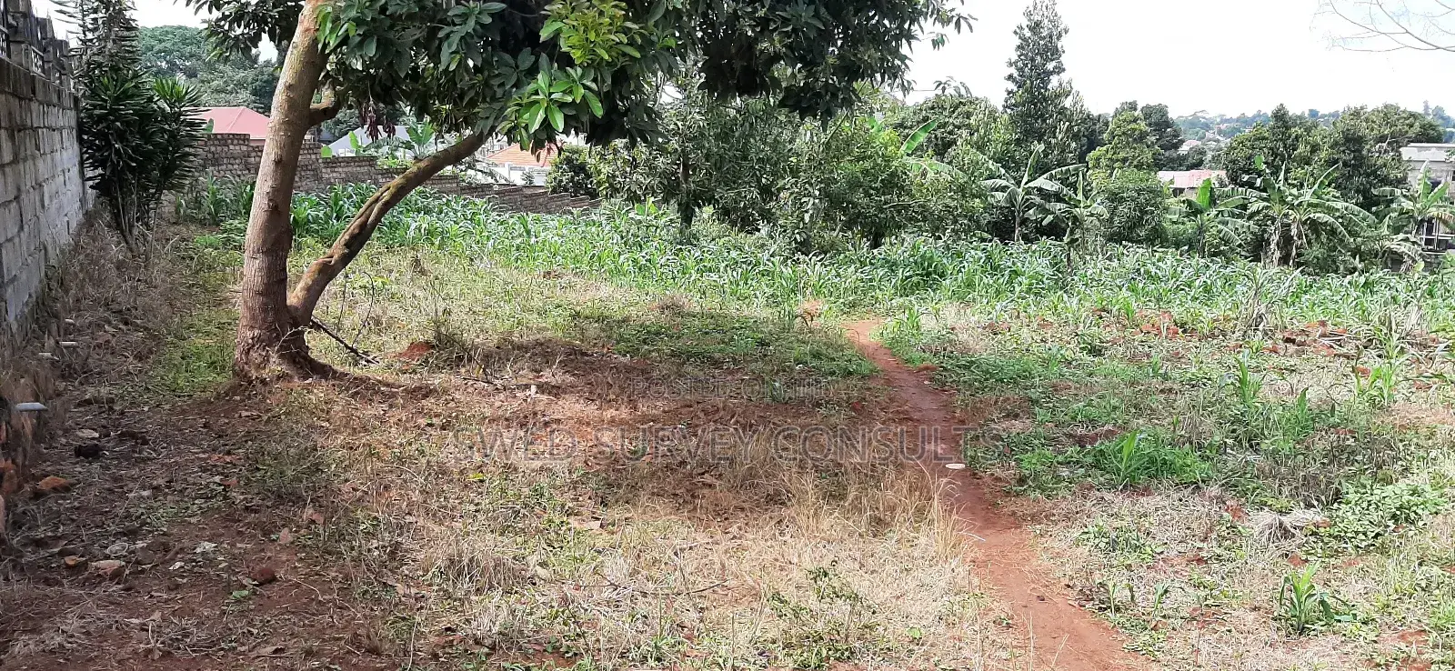 1 Acre of Land