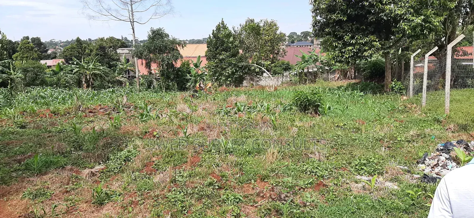 1 Acre of Land