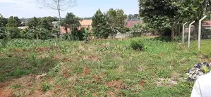 1 Acre of Land