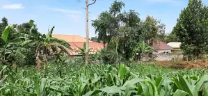1 Acre of Land