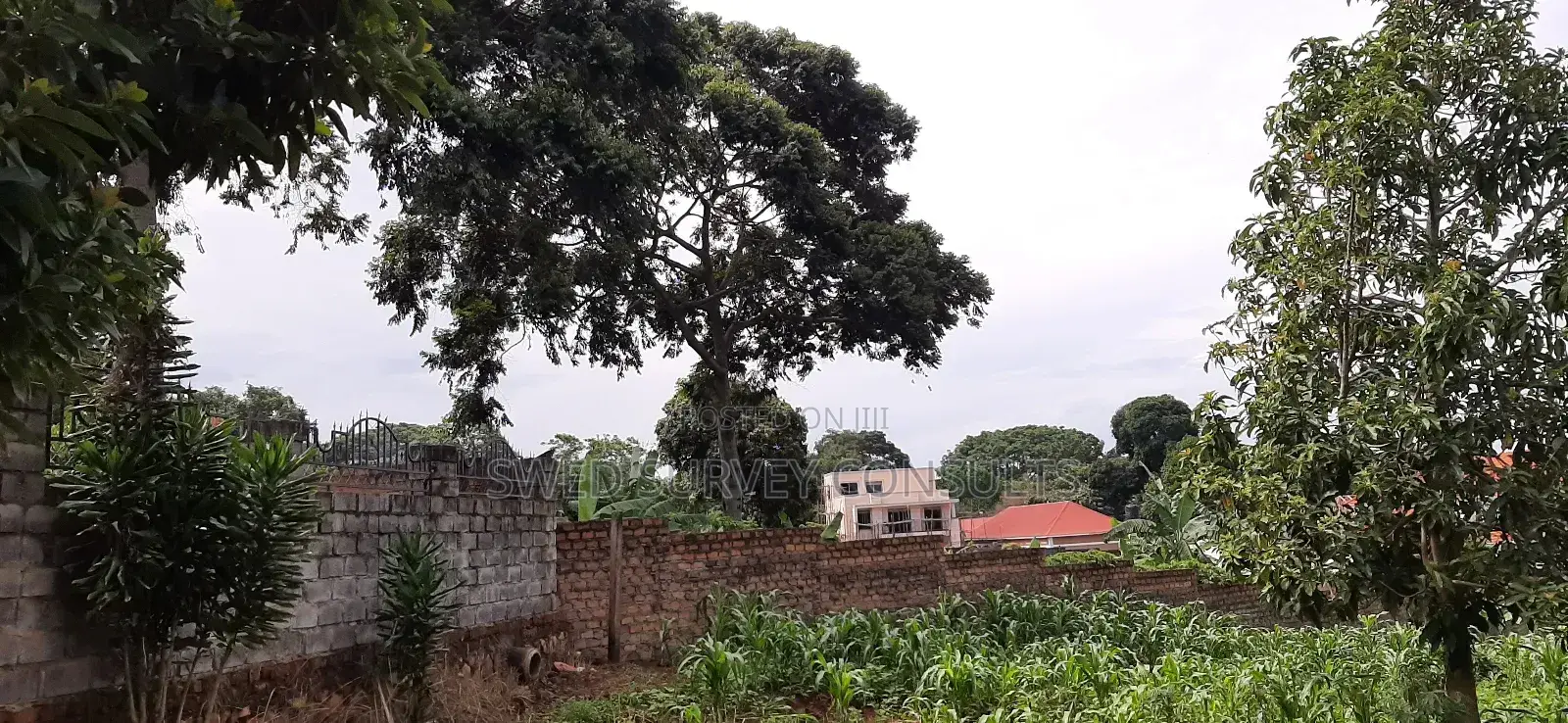 1 Acre of Land