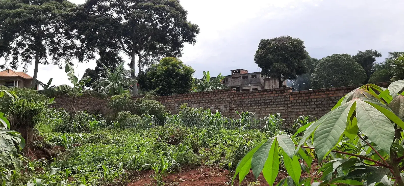 1 Acre of Land