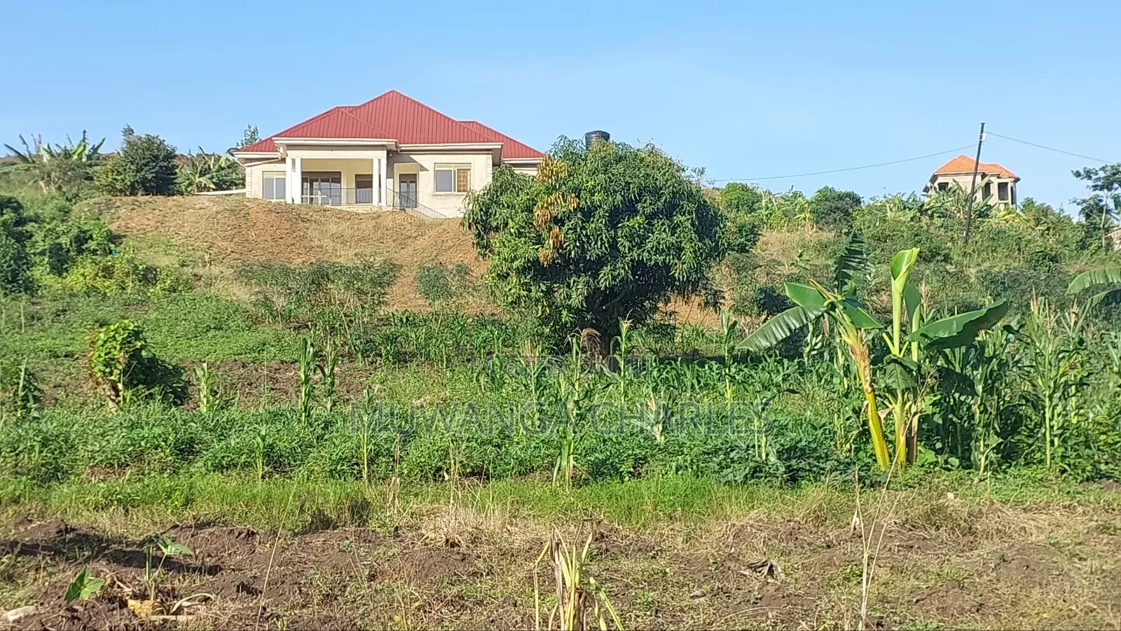 Plot on Sale in Kampala