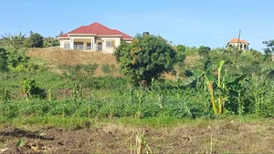 Plot on Sale in Kampala