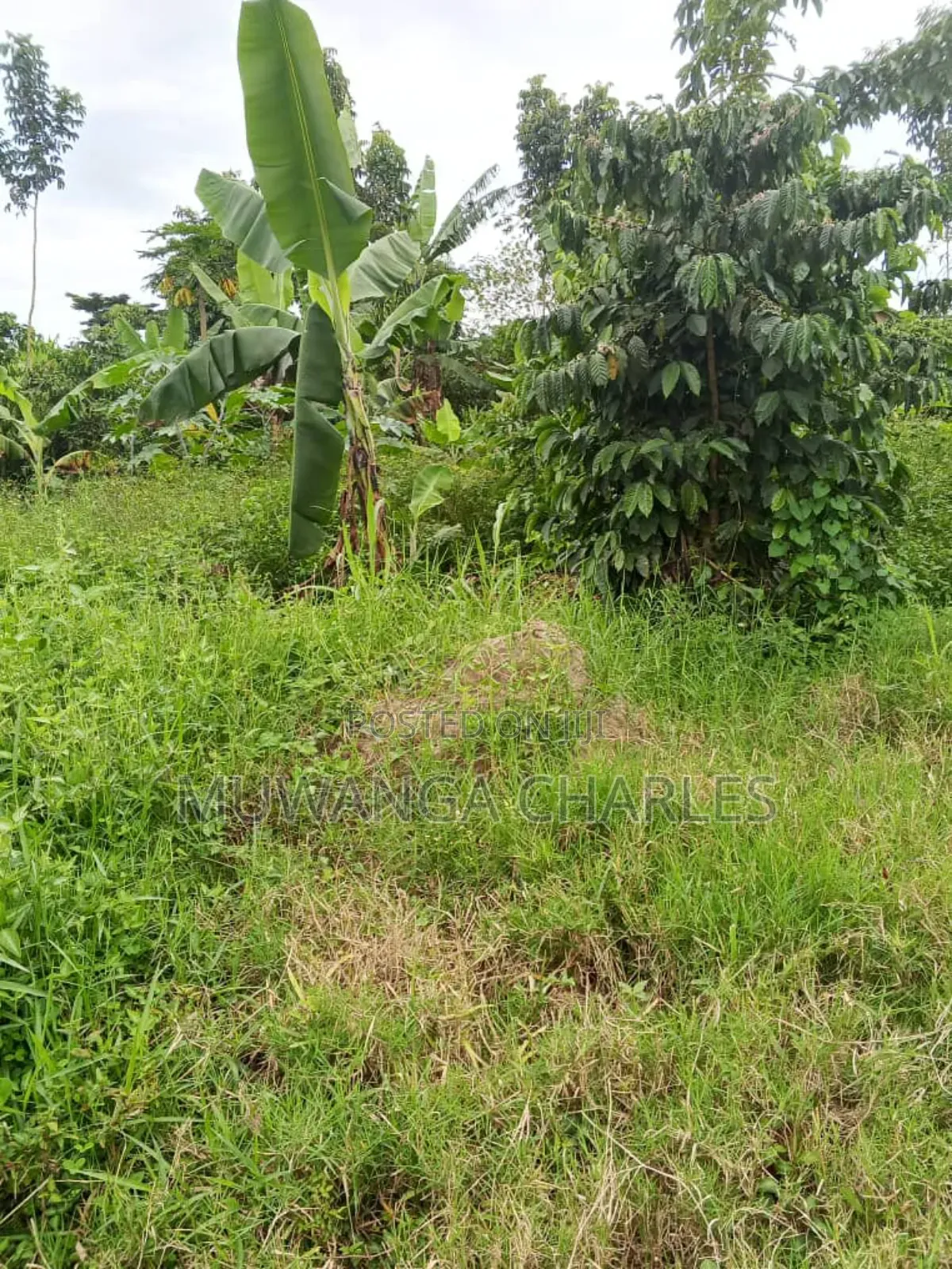 Plot on Quick Sale in Kira Nsasa