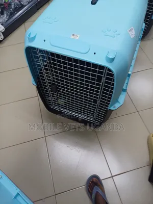 Dog Cages and Cats