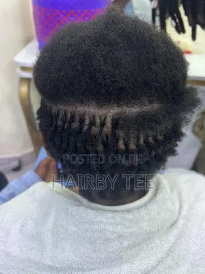 Sista Locs and Repair and Colour