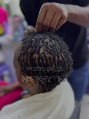 Sista Locs and Repair and Colour