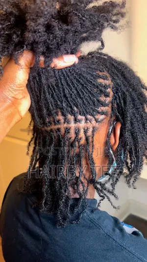 Sista Locs and Repair and Colour