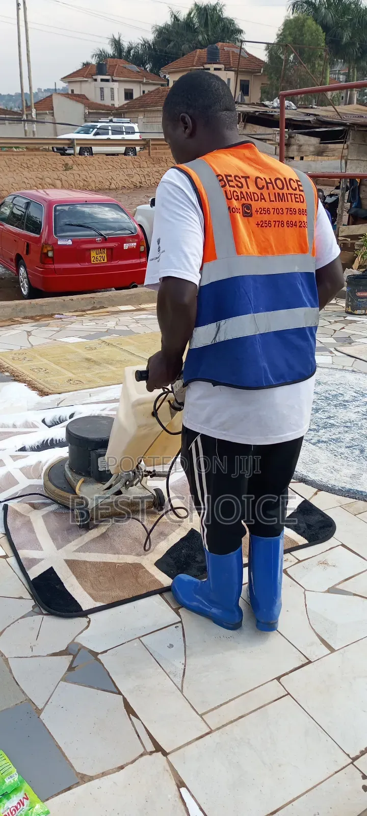 Expert Carpet Cleaning Services for Expert Stain Dust Pests Removal