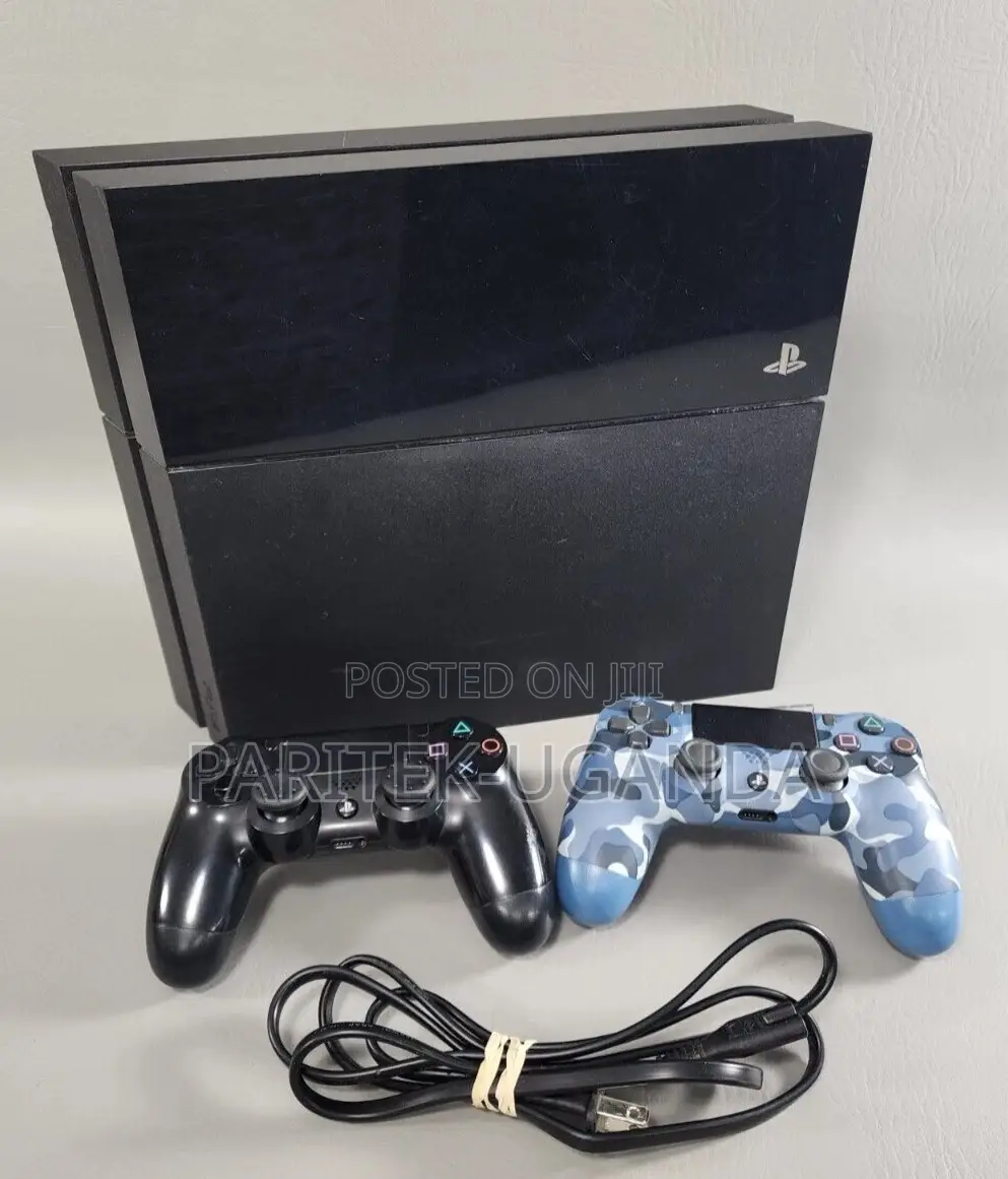 Sony Computer Entertainment Playstation 4