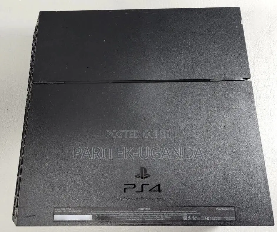 Sony Computer Entertainment Playstation 4