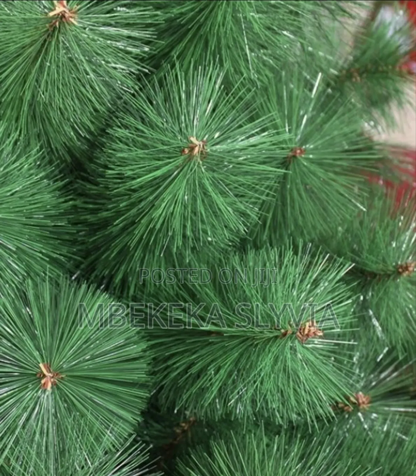 Pine Christmas Tree 240cm/8ft/Family and Home Christmas Accessories