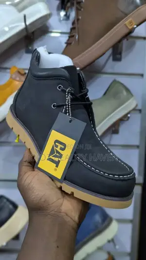 Cat Men's Fashion Boots/Shoes