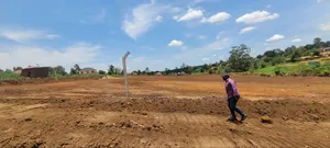 Titled Mailo Land for Sale – Kamumiro, Kibaale