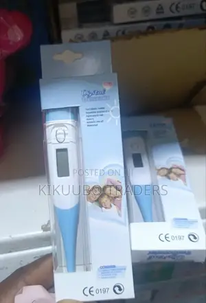 Digital Armpit Oral Thermometer