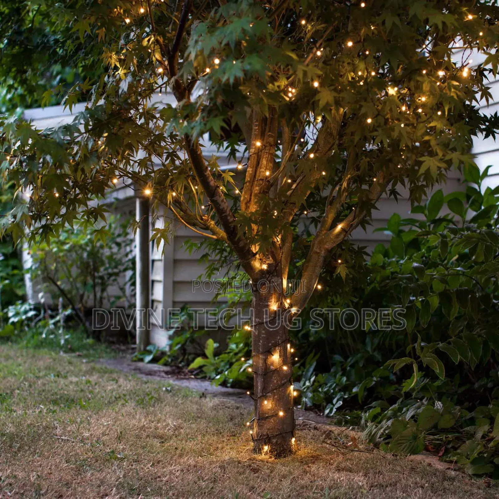Christmas Lights, 50m in Outdoor Christmas Decoration Light