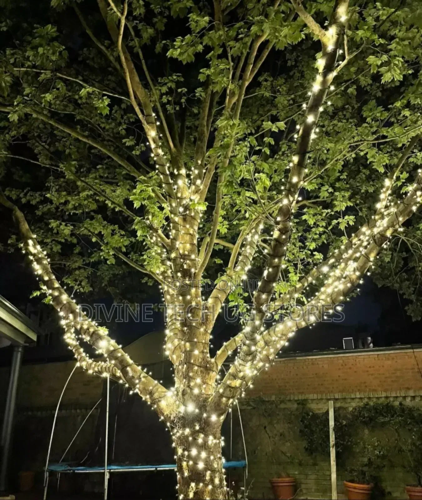 Christmas Lights, 50m in Outdoor Christmas Decoration Light