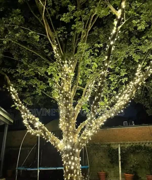 Christmas Lights, 50m in Outdoor Christmas Decoration Light