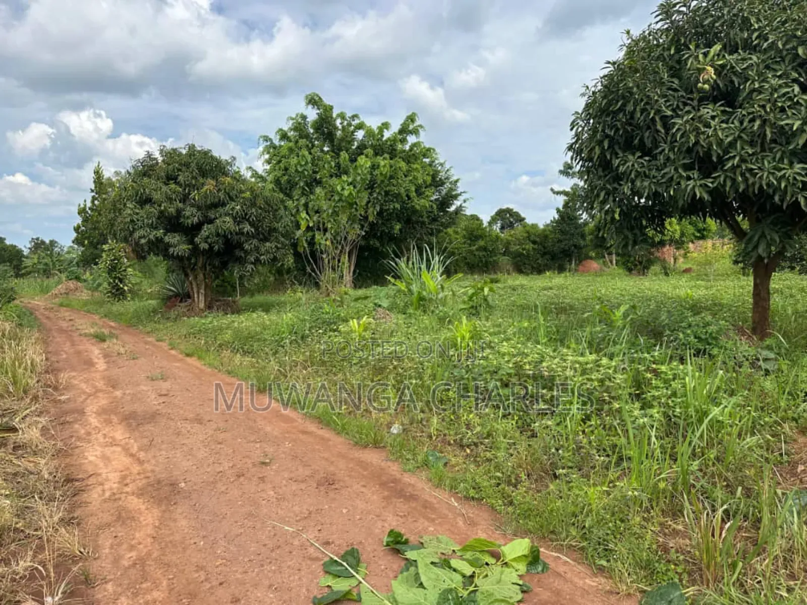 Plots on Sale in Matugga Kavule