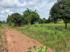 Plots on Sale in Matugga Kavule