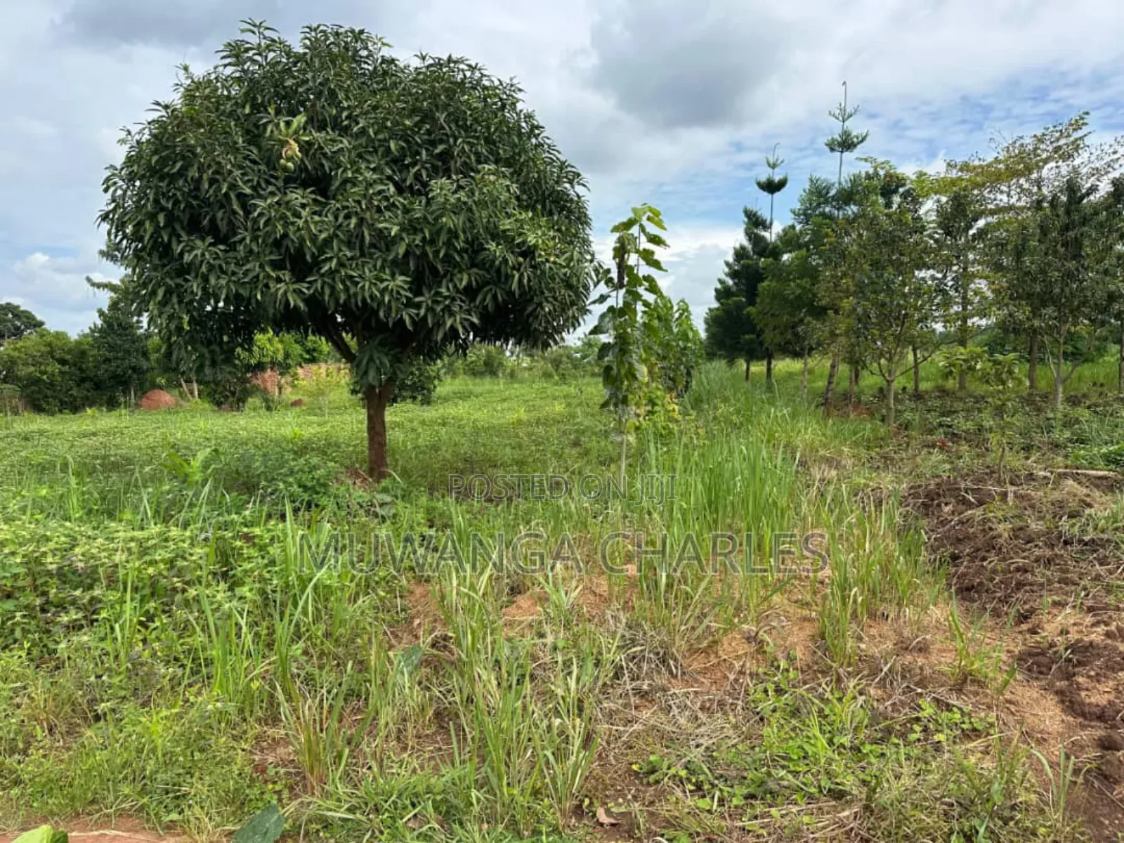 Plots on Sale in Matugga Kavule