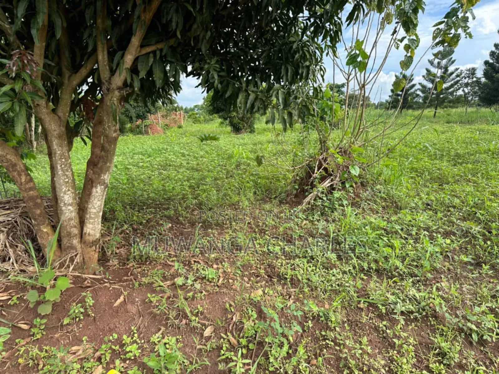 Plots on Sale in Matugga Kavule