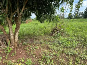 Plots on Sale in Matugga Kavule