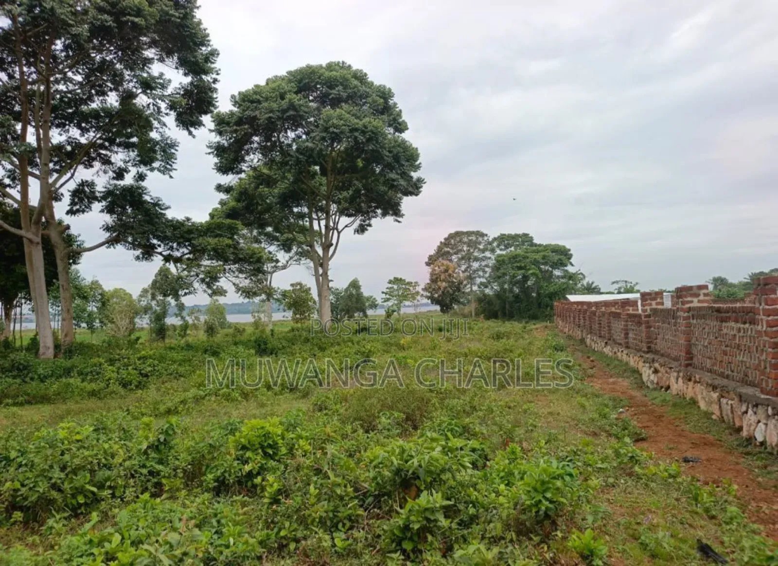 Plots on Sale in Matugga Kavule