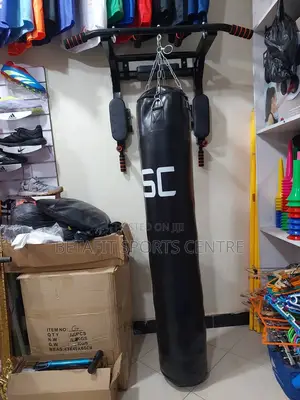 Wall Mount Pull Up for Home Gym