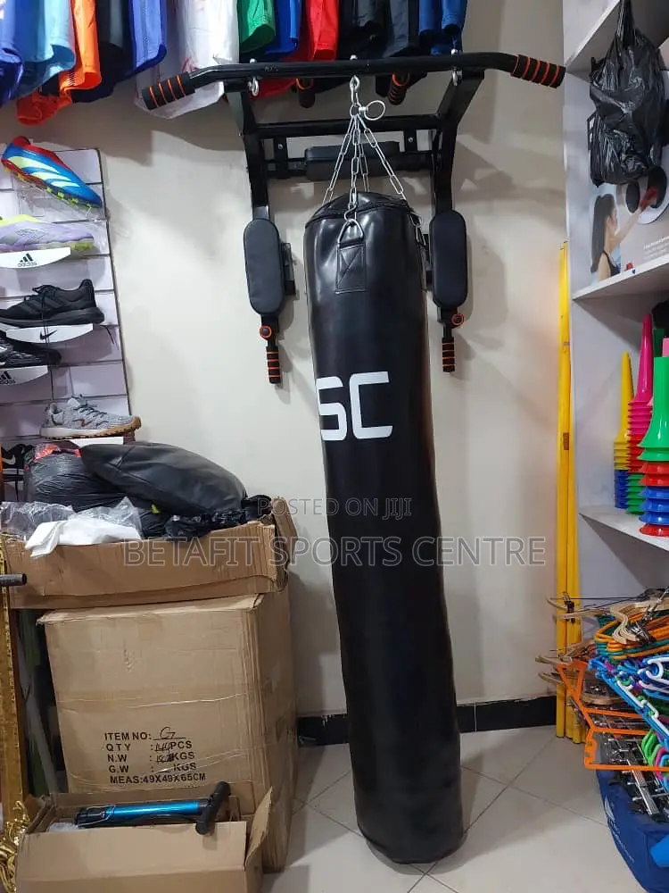 Wall Mount Pull Up for Home Gym